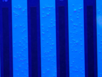 圖片3_副本.jpg 圖片3_副本.jpg